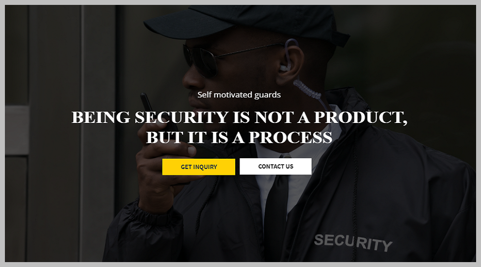 Buzzard Security